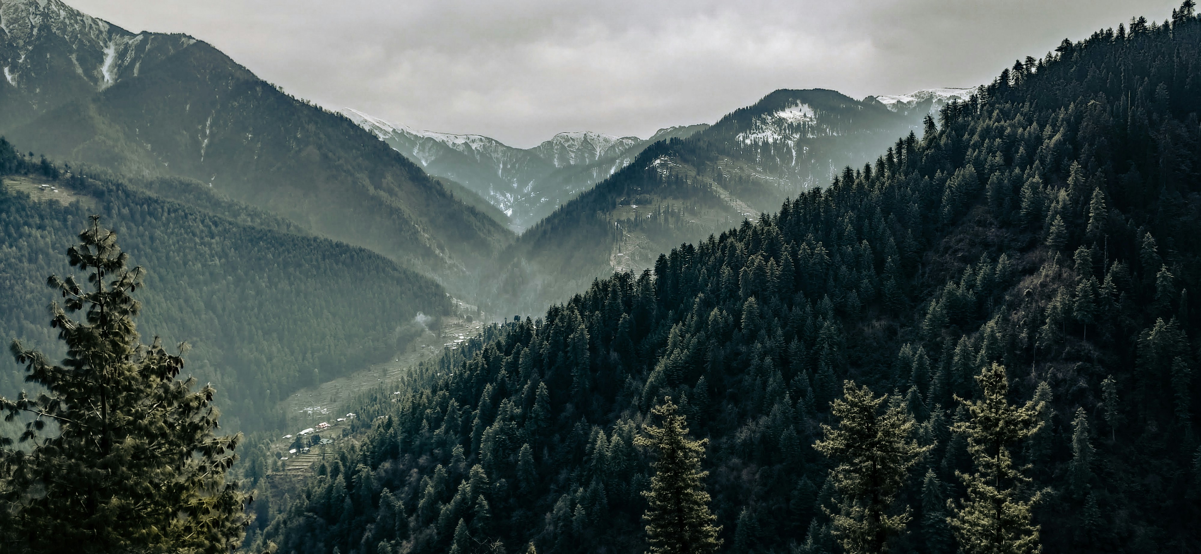 Background